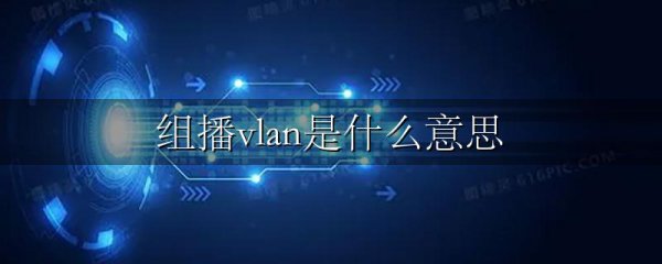 组播vlan是什么意思