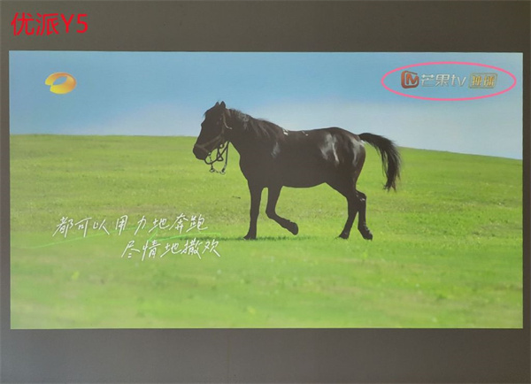 优派Y5和明基E520对比