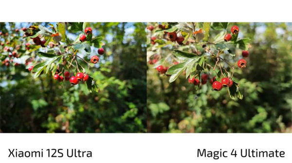 小米12S Ultra和荣耀Magic4至臻版拍照对比