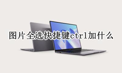 图片全选快捷键ctrl加什么 照片全选快捷键ctrl加什么