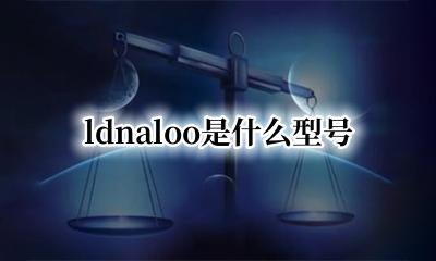 ldnal2o什么型号 ldnaloo是什么型号