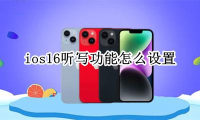 ios16启用听写怎么关 ios16听写功能怎么设置