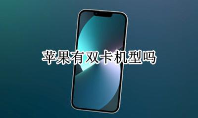 苹果有双卡机型吗 苹果什么机型可以双卡
