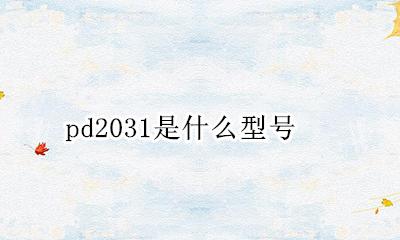 pd2031是什么型号 pd2031b是什么型号