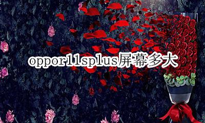 oppor11splus屏幕多大 oppor11splus屏幕是多大