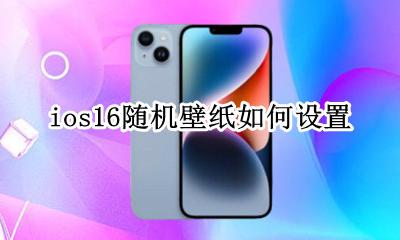 ios16自定义壁纸 ios16随机壁纸如何设置