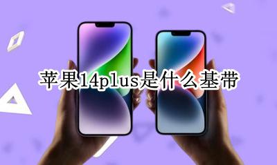 苹果14是什么基带? 苹果14plus是什么基带