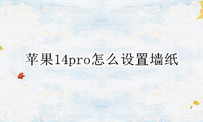 苹果14pro怎么设置墙纸 iphone14pro怎么设置墙纸