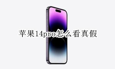 苹果14pro怎么看真假 如何鉴别苹果14pro真假
