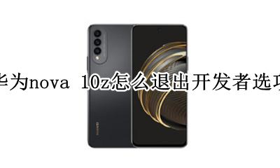 华为nova 10z怎么退出开发者选项 华为nova10pro怎么关闭开发者选项