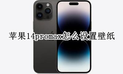 苹果14promax默认壁纸 苹果14promax怎么设置壁纸
