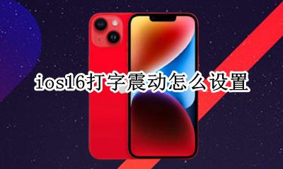 ios16键盘震动怎么开 ios16自带键盘震动怎么开