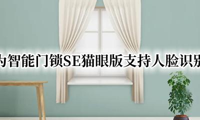 智能锁猫眼和人脸识别 华为智能门锁SE猫眼版支持人脸识别吗