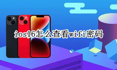 ios16查看wifi密码 ios16怎么查看wifi密码