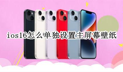 ios怎么设置多个壁纸 ios16怎么单独设置主屏幕壁纸