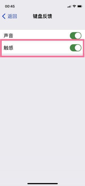 ios16打字震动怎么设置