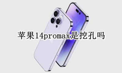 苹果14promax是挖孔吗 iphone14promax底部14个孔是什么