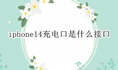iphone14是什么充电口 iphone14充电口是什么接口