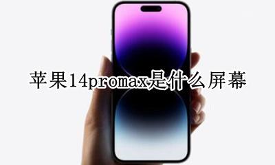 苹果14promax是啥屏幕 苹果14promax是什么屏幕