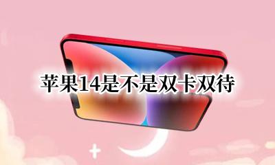 苹果是双卡双待吗 苹果14是不是双卡双待