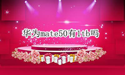 华为还有mate50 华为mate50有1tb吗