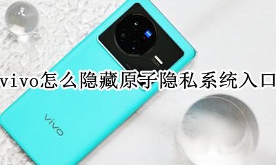 vivo手机中的隐私在哪里 vivo怎么隐藏原子隐私系统入口