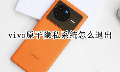 vivo原子隐私系统怎么退出 vivo手机的隐私系统在哪打开