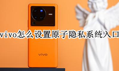 vivo手机的隐私系统在哪打开 vivo怎么设置原子隐私系统入口