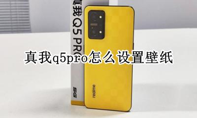 真我q5pro怎么设置壁纸 真我q5pro如何设置壁纸