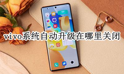 vivo系统提示升级怎么关闭 vivo系统自动升级在哪里关闭