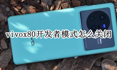 vivox80开发者模式怎么关闭 怎样关闭开发者模式vivox80
