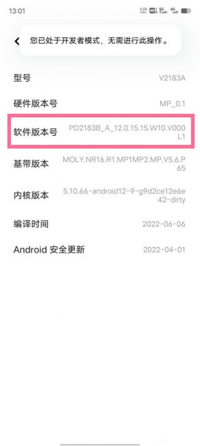 vivoX80开发者模式怎么打开
