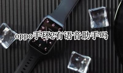 oppo手环2有语音助手吗 opporeno2有没有语音助手功能
