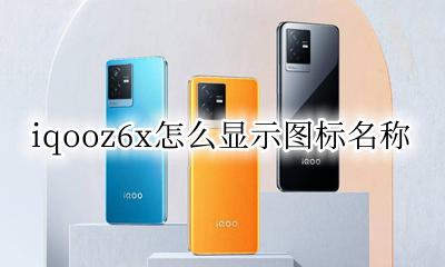 iqooz6x隐藏图标 iqooz6x怎么显示图标名称