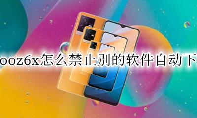 iqooz6x怎么禁止别的软件自动下载 iqooz6x怎么设置不自动安装软件