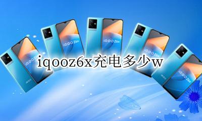 iqooz6x充电多少w iqooz6x可以用6w充电器吗