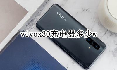 vivox30充电器多少w vivox30充电器参数配置