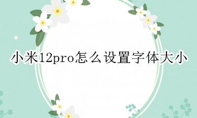 miui12怎么设置字体大小 小米12pro怎么设置字体大小