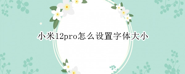 小米12pro怎么设置字体大小