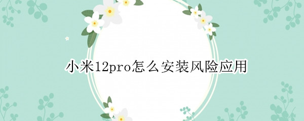 小米12pro怎么安装风险应用