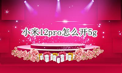 小米12pro怎么开5g 小米12Pro怎么开12帧