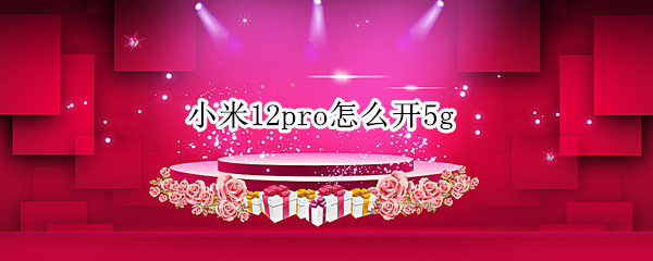 小米12pro怎么开5g