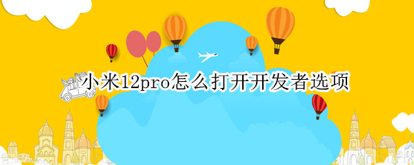 小米12pro怎么打开开发者选项