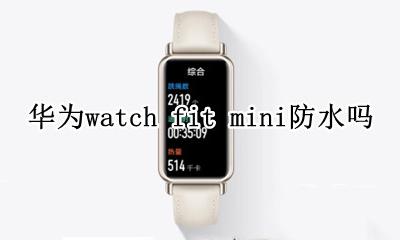 fitbit手表防水吗 华为watch fit mini防水吗