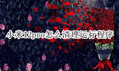 小米12s怎么清除运行程序 小米12pro怎么清理运行程序
