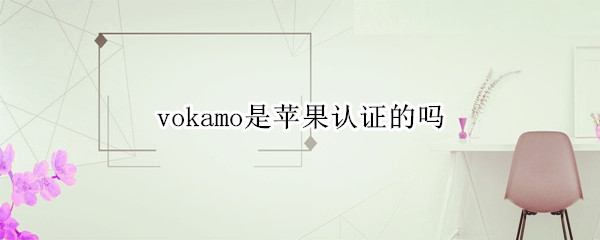 vokamo是苹果认证的吗