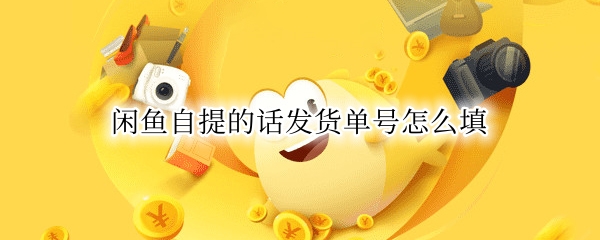 闲鱼自提的话发货单号怎么填