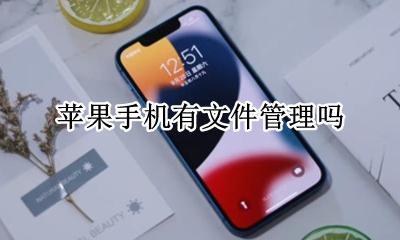 苹果手机有文件管理吗 苹果手机上有文件管理吗