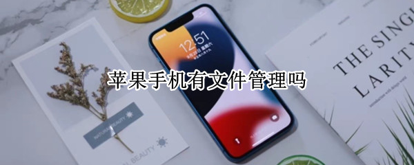 苹果手机有文件管理吗