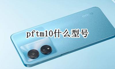 pftm10什么型号 是什么手机